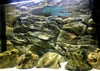 Fluval Vicenza 180 aquarium rock background real 3D for 99