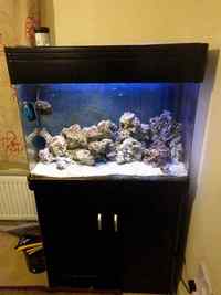 200L marine tank for sale