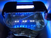 Live Marine Aquarium Fish Tank Complete Setup
