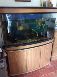 Manchester M45 Feb 2018 Update - Big Tanks BONANAZA - Over 200 pre-owned ORNAMENTS + Bogwood, Air pumps, Plants etc plus loads of other stuff. From £2 upwards. Viewings welcome Manchester M45