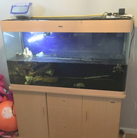 Manchester M45 Feb 2018 Update - Big Tanks BONANAZA - Over 200 pre-owned ORNAMENTS + Bogwood, Air pumps, Plants etc plus loads of other stuff. From £2 upwards. Viewings welcome Manchester M45