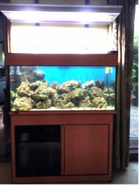 Manchester M45 Feb 2018 Update - Big Tanks BONANAZA - Over 200 pre-owned ORNAMENTS + Bogwood, Air pumps, Plants etc plus loads of other stuff. From £2 upwards. Viewings welcome Manchester M45