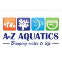 Cichilds of all kinds at A-Z Aquatics in Balterley, Crewe