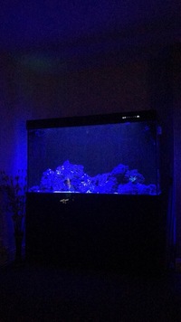 Cleair 600l plus sump complete marine setup