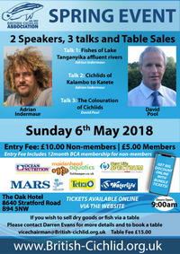 BCA Spring Convention 6th May