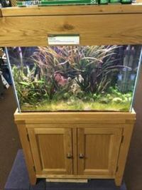 Maidenhead aquatics @ stockton Current Stocklist 14/04