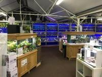 Maidenhead aquatics @ stockton Current Stocklist 14/04