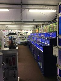 Maidenhead aquatics @ stockton Current Stocklist 14/04