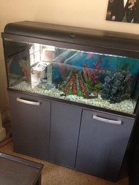 200L Fish tank with cupboard stand