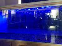 Rena 5ft Fish Tank