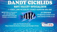 Dandy Cichlids Malawi and Tanganyikan Cichlids UPDATED LIST