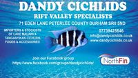 DANDY CICHLIDS NEXT IMPORT 19th May 2018