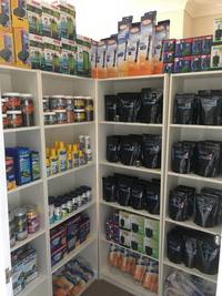 QUALITY TROPICAL FISH NEWPORT WALES