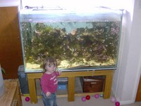 full marine tank setup