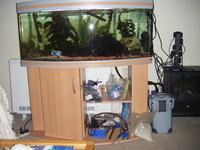 deconstructing tropical fish tank