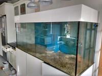 Large 6 foot Aquarium Plus Sump Cabinet & Plumbing & Return Pump £1200.00 ONO