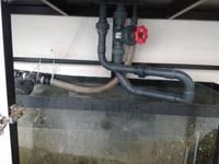 Large 6 foot Aquarium Plus Sump Cabinet & Plumbing & Return Pump £1200.00 ONO