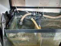 Large 6 foot Aquarium Plus Sump Cabinet & Plumbing & Return Pump £1200.00 ONO