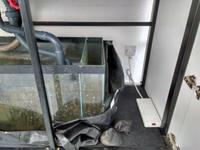 Large 6 foot Aquarium Plus Sump Cabinet & Plumbing & Return Pump £1200.00 ONO