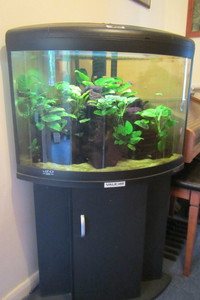 Aqua One UFO 550 complete setup