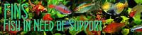 Fish Rescue/ rehoming