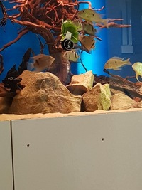 uaru fernandezyepezi Group