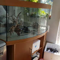 Juwel Vision 450 Aquarium with Cabinet. LEICESTER .