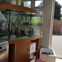 Juwel Vision 450 Aquarium with Cabinet. LEICESTER .