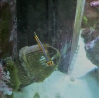 Breaking Down 450l Tank - Low Cost for Fast Sale