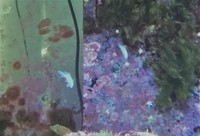 Breaking Down 450l Tank - Low Cost for Fast Sale