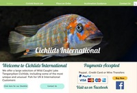 WILD CAUGHT- Tropheus & Petrochromis