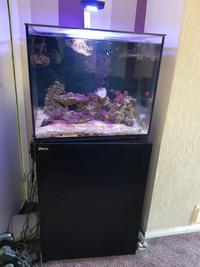 Red Sea Reefer 170 (Black) with equipment (£370)