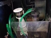 Marine fish Inverts, in Red Sea Reefer 170 (Black) with equipment (£370)