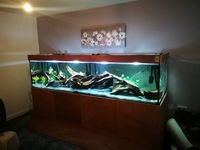 8ft TANK approx 1200 litres (around 1700 if sumped)