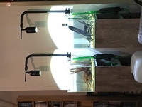 The Aquascaper 300 aquarium +stand
