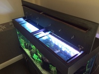 5ft Tank - Full Discus Setup
