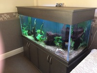 5ft Tank - Full Discus Setup