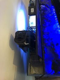Fluval M90 - Complete Reef Setup Including Livestock
