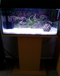 JUWEL REKORD 60 COMPLETE SETUP WITH TETRA IN 600 PLUS FILTER + 50 WATT HEATER