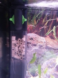 JUWEL REKORD 60 COMPLETE SETUP WITH TETRA IN 600 PLUS FILTER + 50 WATT HEATER