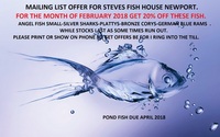 QUALITY TROPICAL FISH NEWPORT WALES