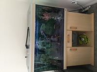 4ft Fish Tank With Full Set Up £175