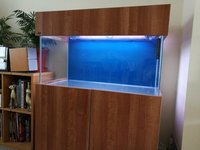 ND Aquatics 3ft aquarium (REDUCED)
