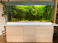 Large Showpiece Aquarium 450L, complete setup suitable for freshwater or marine fish