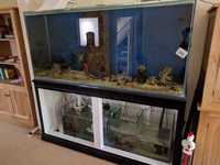 FULL 6 FOOT SYSTEM FOR SALE