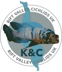 K&C Rift Valley Cichlids UK