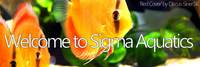 Sigma Aquatics