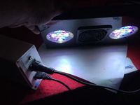 Radion xr30 LED marine fish tank/aquarium led reef light excellent condition 3 left REDUCED £225 EACH