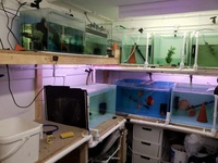 Fish room complete
