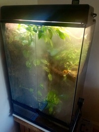 Eco Terra Terrarium - full established system